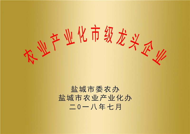 資質(zhì)榮譽